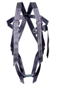 Страховочная система &amp;quot;Альпина&amp;quot;, Ринг