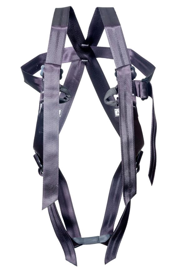 Страховочная система &amp;quot;Альпина&amp;quot;, Ринг