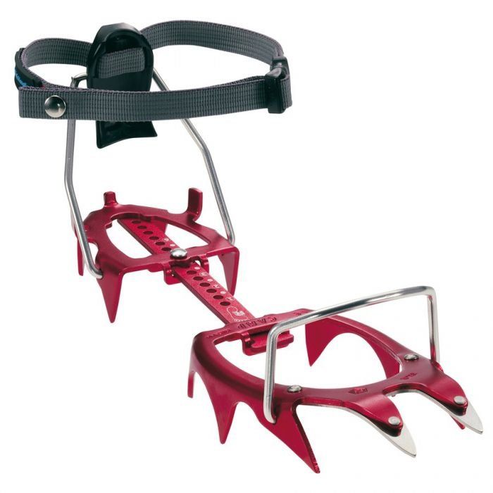 Кошки SKIMO Nanotech, CAMP